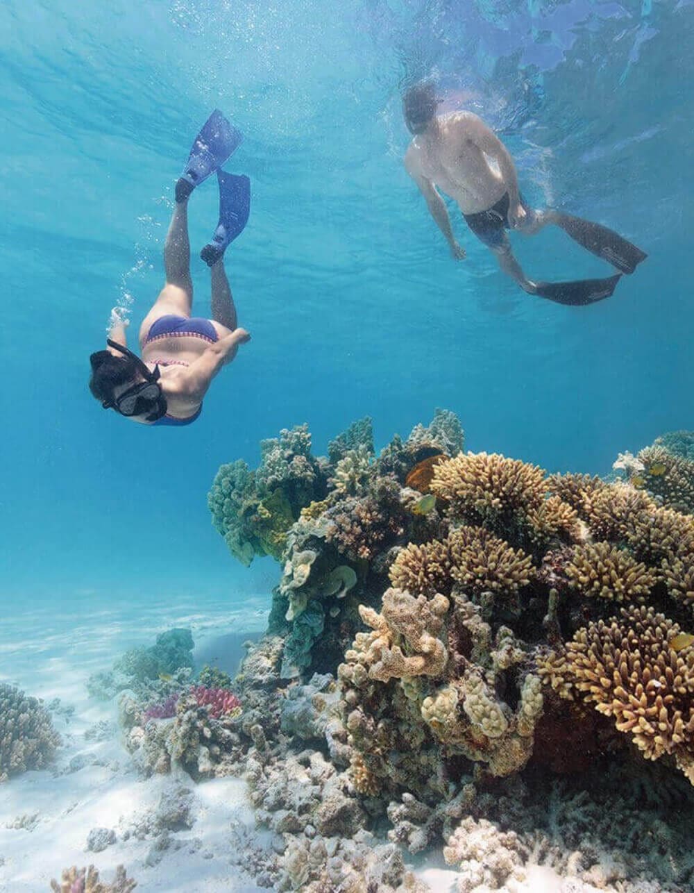 Snorkellers above coral gardens in the lagoon